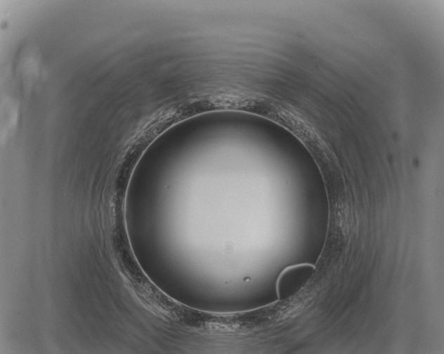 X0000084600690200703021626