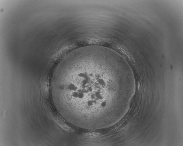 X0000084600691200703021626