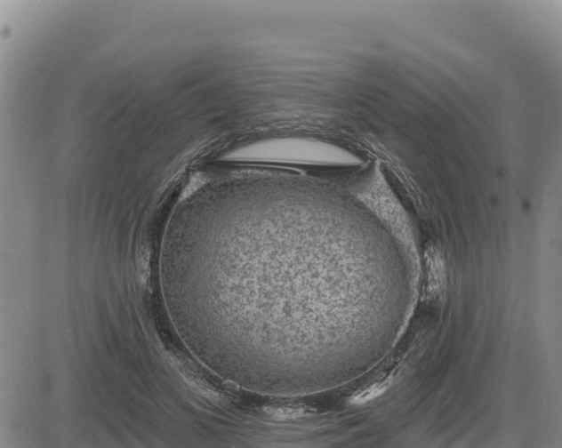 X0000084600693200703021626