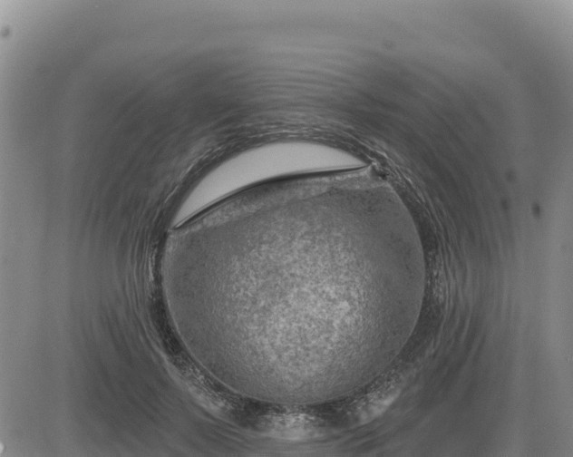 X0000084600695200703021626