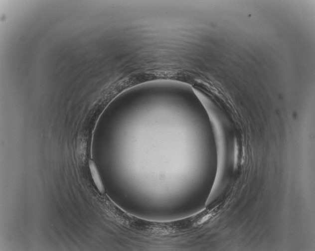 X0000084600697200703021626