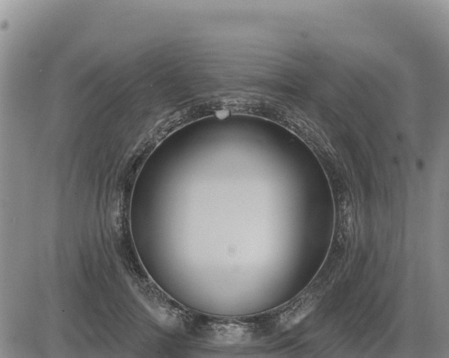 X0000084600698200703021626