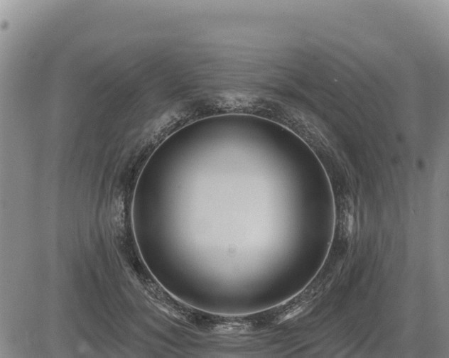 X0000084600700200703021626