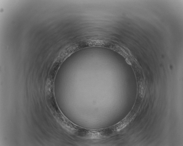 X0000084600701200703021626