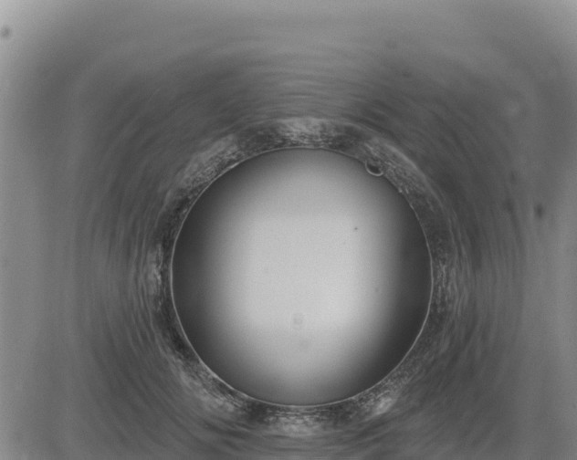 X0000084600702200703021626