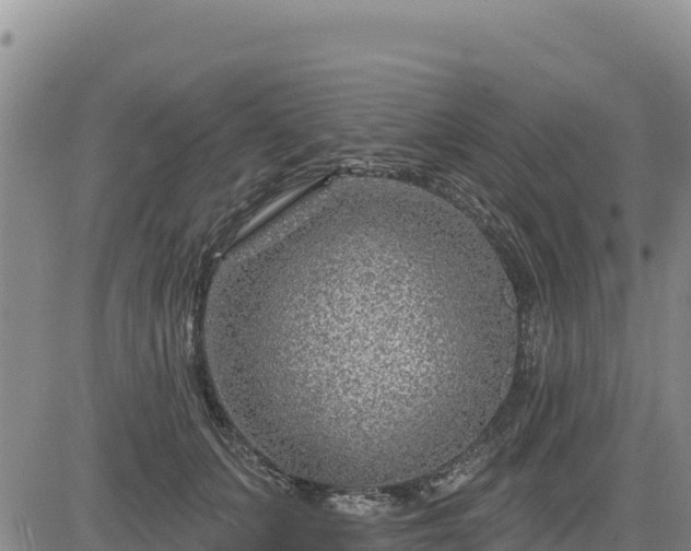 X0000084600703200703021626