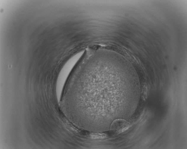 X0000084600707200703021626