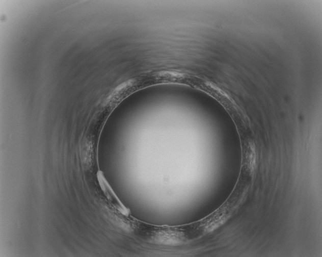 X0000084600708200703021626