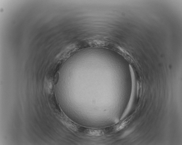 X0000084600709200703021626