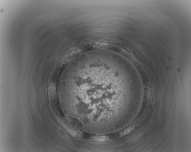 X0000084600711200703021626