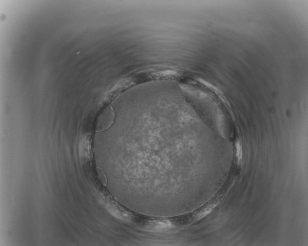 X0000084600715200703021626