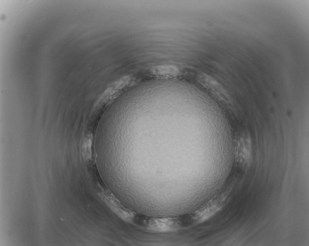 X0000084600717200703021626