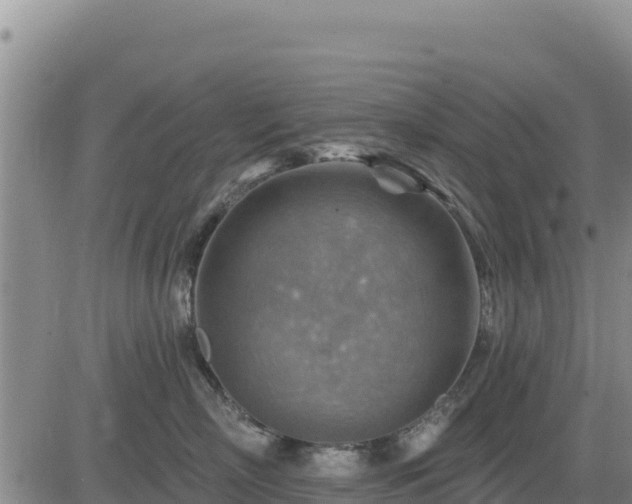 X0000084600718200703021626