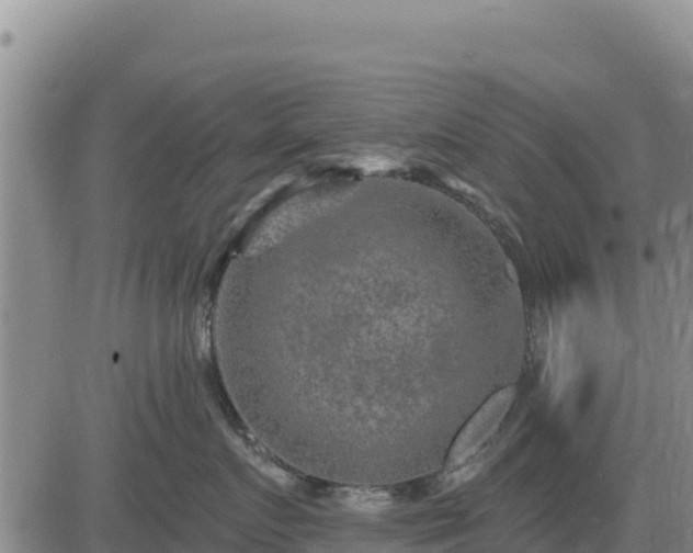 X0000084600719200703021625