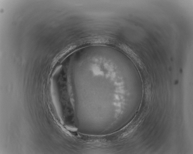 X0000084600721200703021625