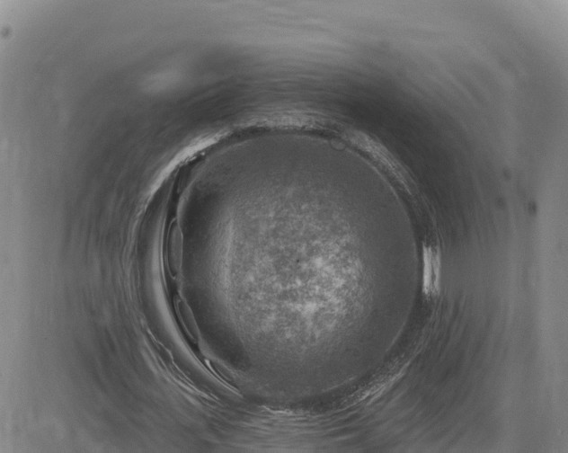 X0000084600723200703021625