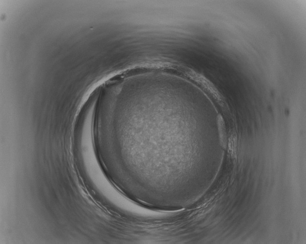 X0000084600724200703021625