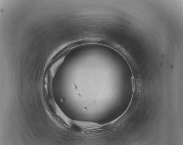 X0000084600726200703021625