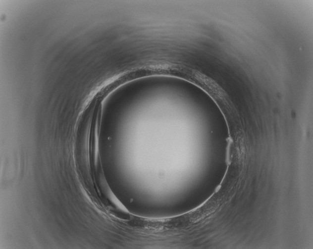 X0000084600728200703021625