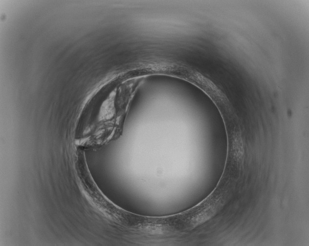 X0000084600730200703021625