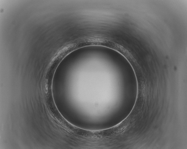 X0000084600731200703021625