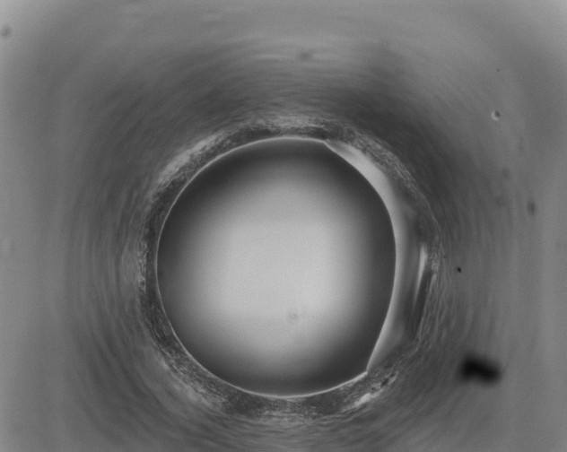 X0000084600732200703021625