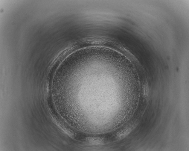 X0000084600733200703021625