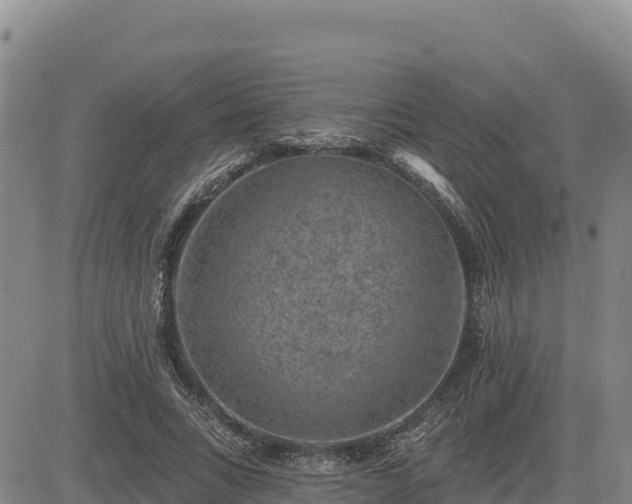 X0000084600735200703021625