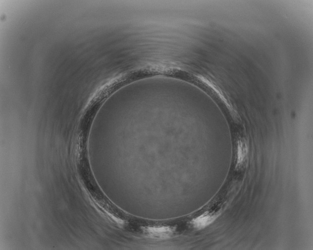 X0000084600736200703021625