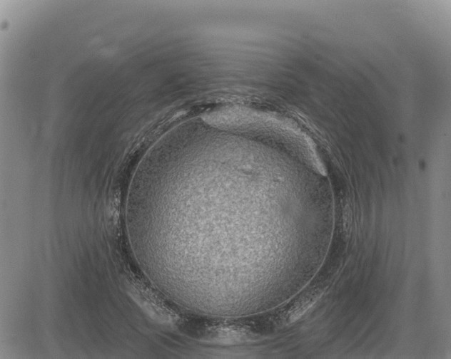 X0000084600737200703021625