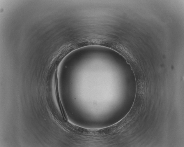 X0000084600738200703021625