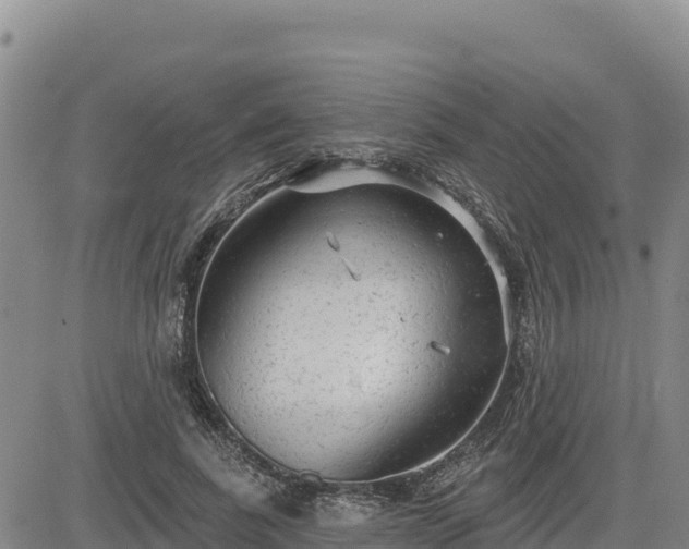 X0000084600739200703021625