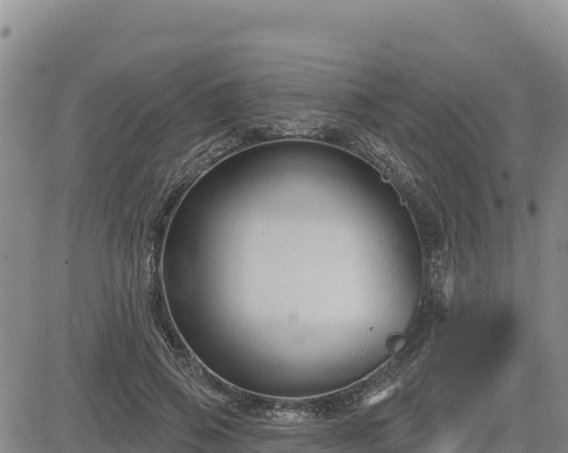 X0000084600741200703021625