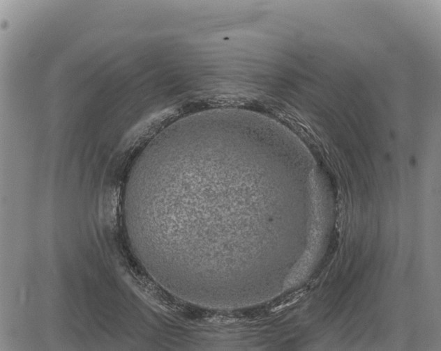 X0000084600742200703021625