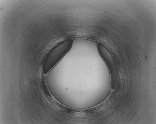 X0000084600744200703021625