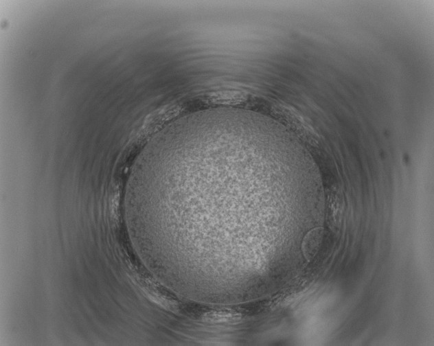 X0000084600745200703021625