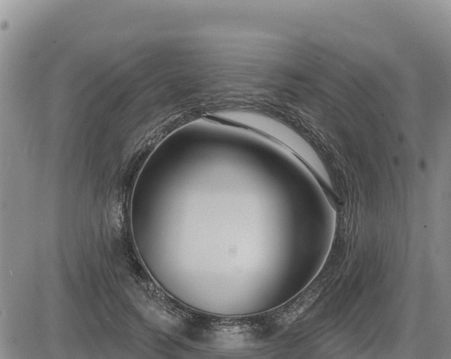 X0000084600746200703021625