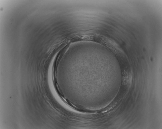 X0000084600748200703021625