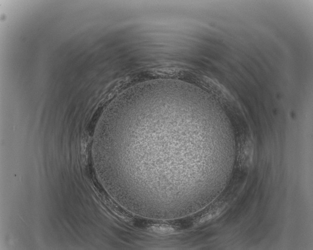 X0000084600749200703021625