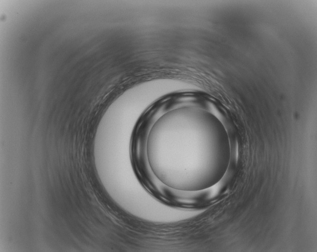 X0000084600750200703021625