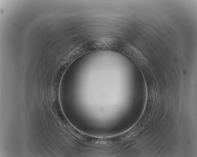 X0000084600751200703021625