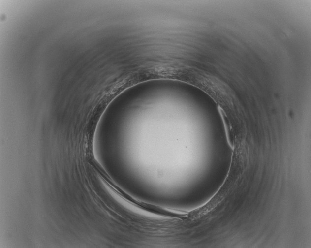 X0000084600752200703021625