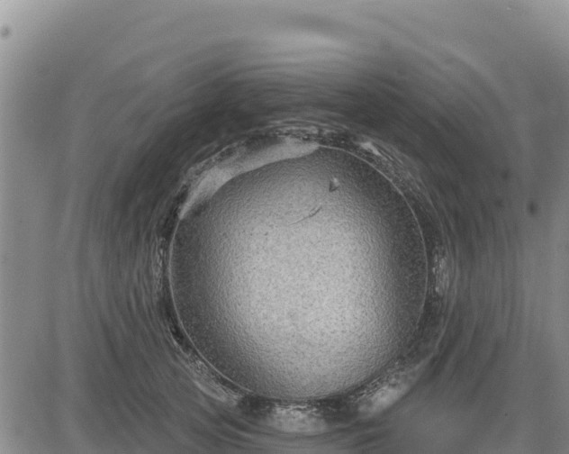 X0000084600753200703021625