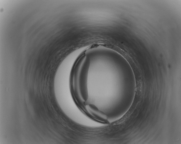 X0000084600754200703021625