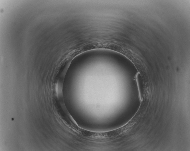 X0000084600756200703021625