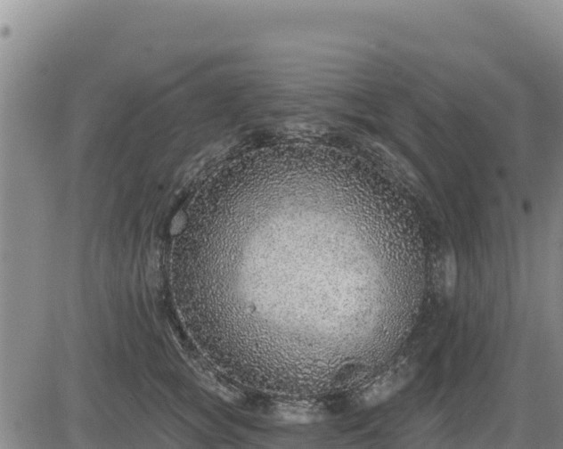 X0000084600757200703021625