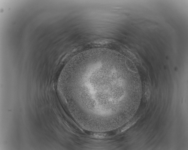 X0000084600758200703021625