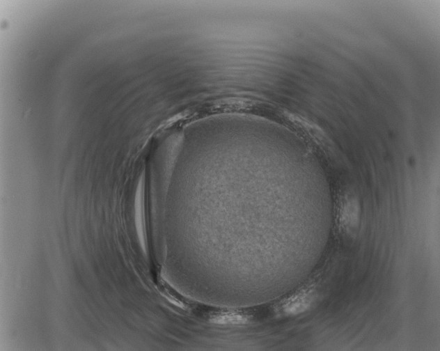 X0000084600759200703021625