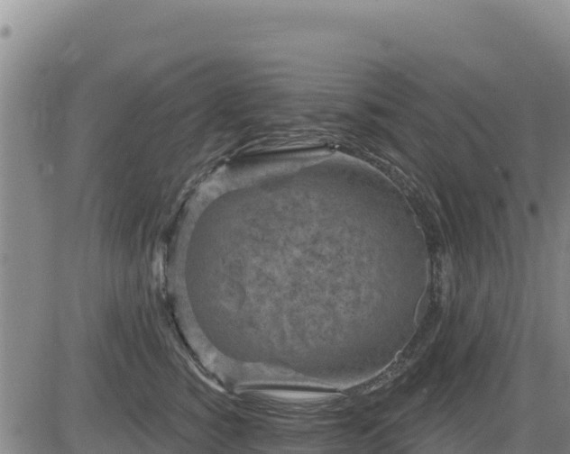 X0000084600760200703021625