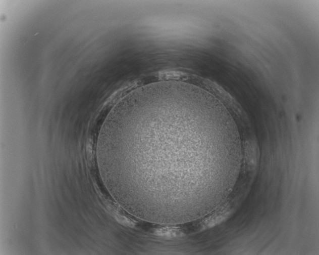 X0000084600761200703021625